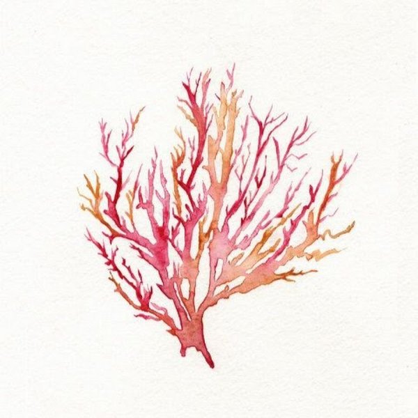 Стилизованный коралл