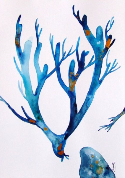 Кораллы акварель