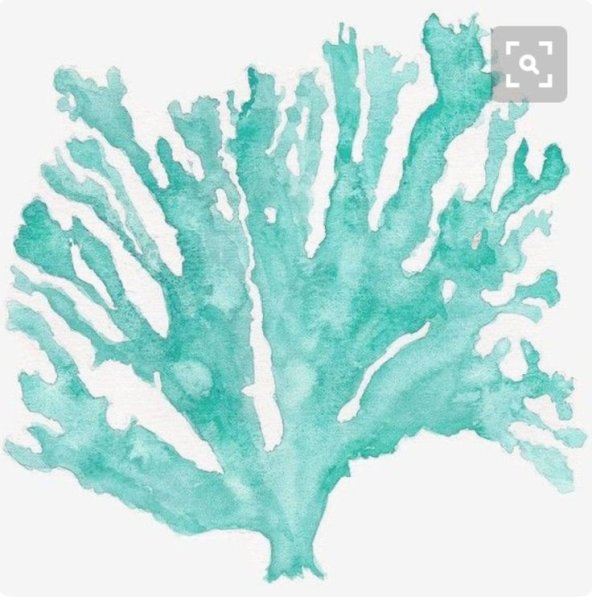 Кораллы и водоросли акварель