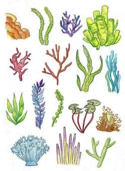 Стилизованные водоросли