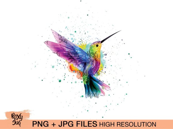 Колибри акварель