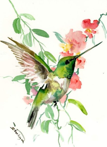 Тропики птица акварель