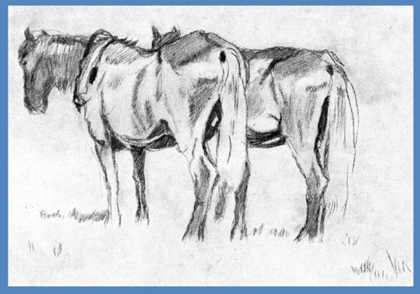 Рисунок лошади коли Дмитриева