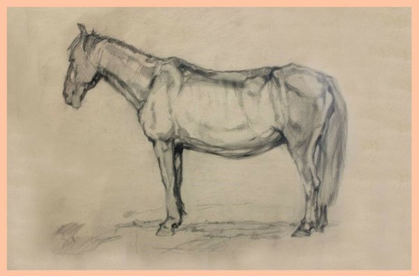 15 Летний художник акварели