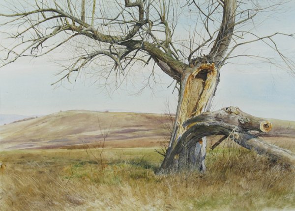 Атанас Мацурев художник картины