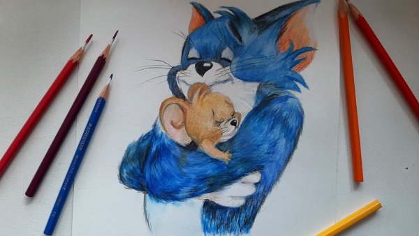 Карандаши том и Джерри цветные