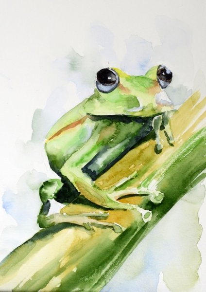 Лягушонок акварель