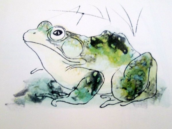Лягушка в озере акварель