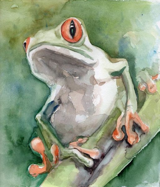 Жаба акварелью