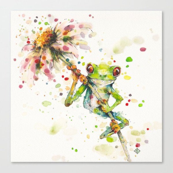 Акварельная лягушка