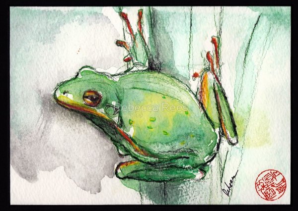 Акварельный скетч лягушка
