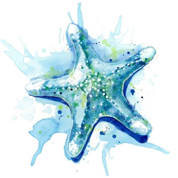 Морская звезда арт