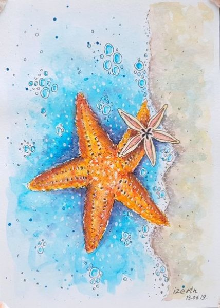 Морская звезда скетч