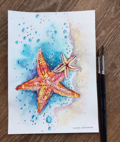 Ракушка морская звезда акварель