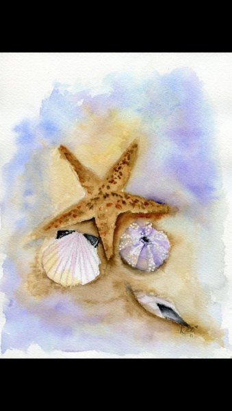 Морская звезда скетч