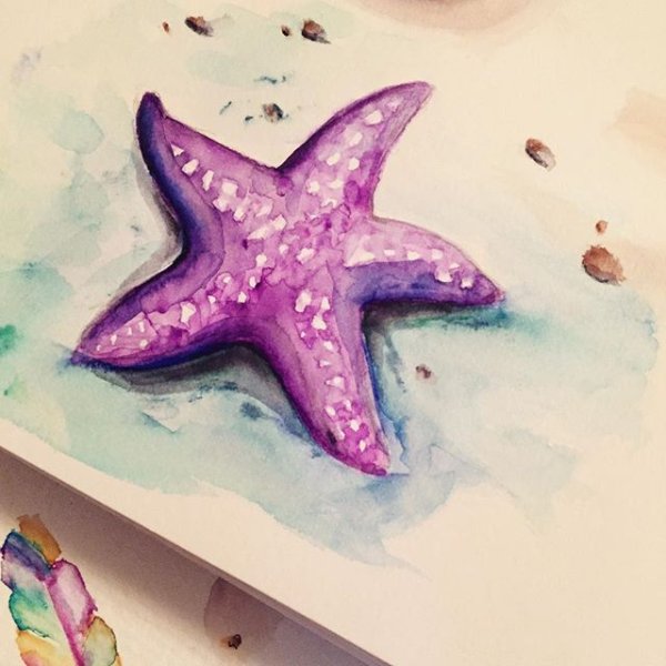 Морская звезда акварель