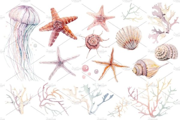 Морская звезда акварель