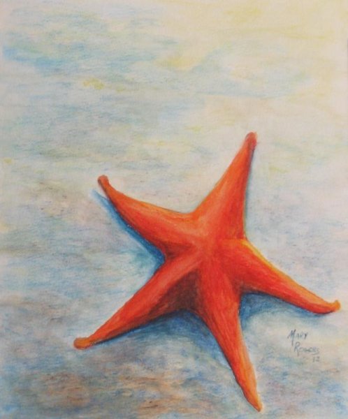 Морская звезда рисунок