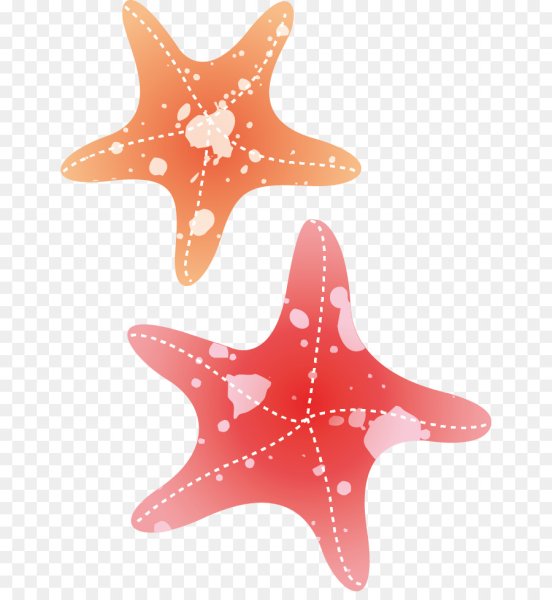 Морская звезда акварель