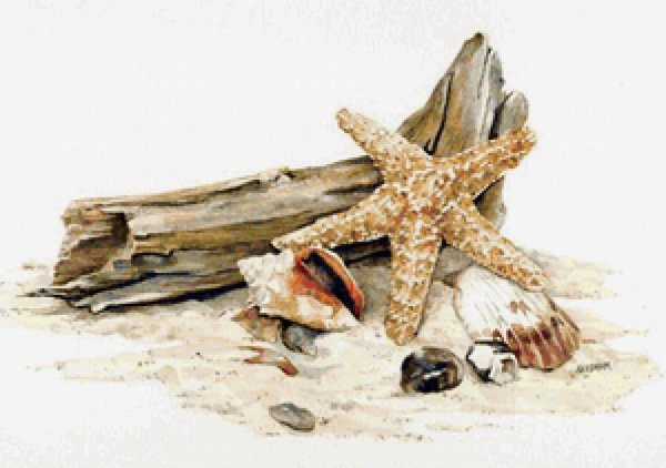 Иллюстрации на морскую тему