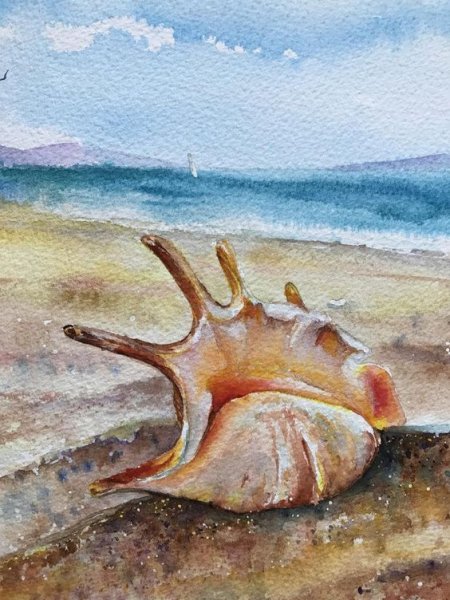 Морская звезда акварель