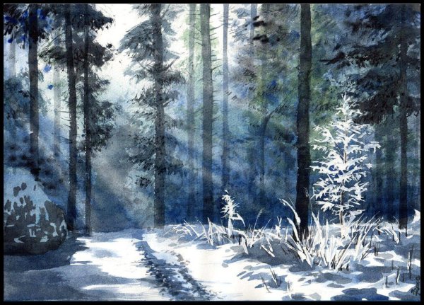 Зимний лес акварель