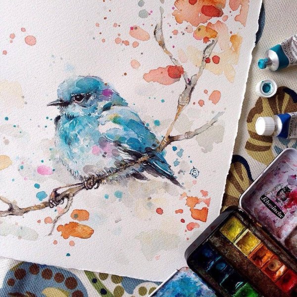 Акварельные птицы