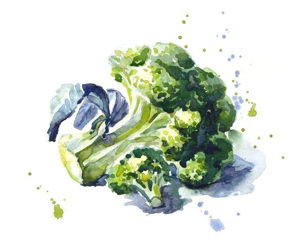 Брокколи скетчинг