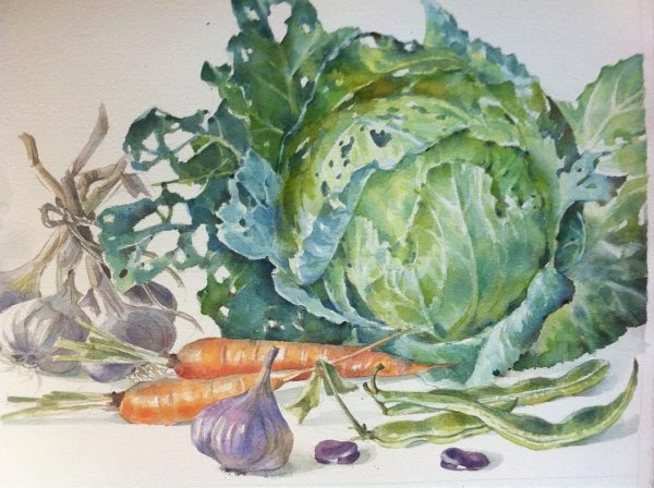 Овощи акварелью