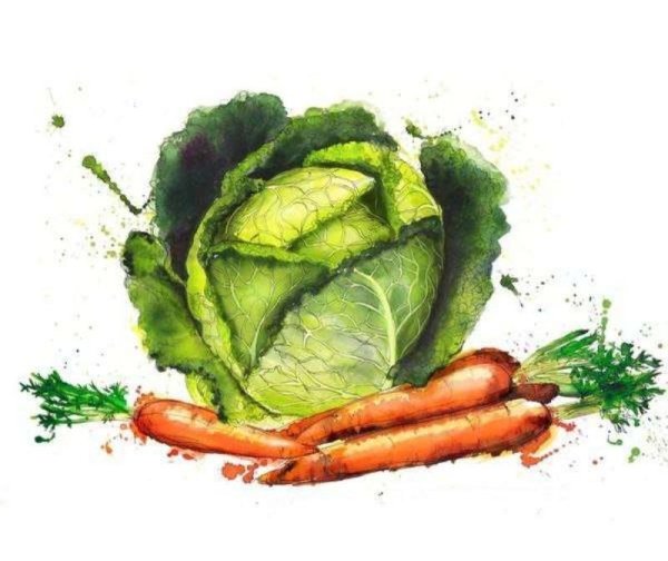 Акварельные зарисовки овощей