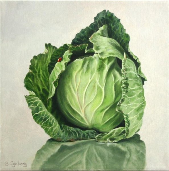 Акварель капуста пекинская