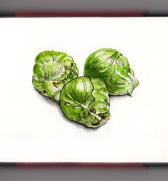 Капуста акварелью