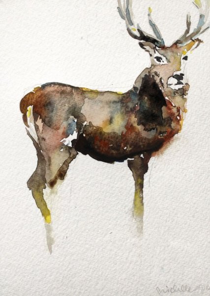Олень акварелью