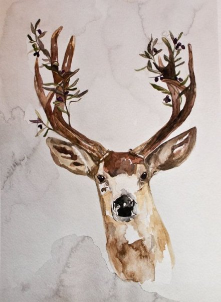 Олень цветными карандашами