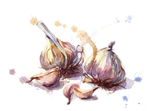 Лук акварелью