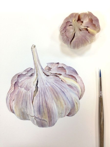 Анна Супруненко Ботаническая живопись