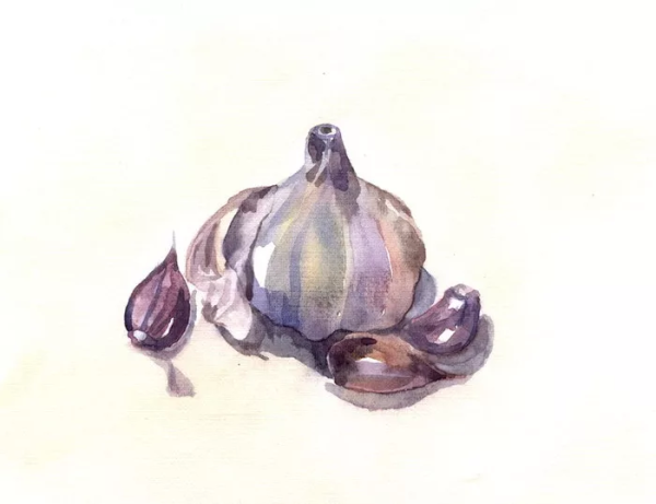 Этюд луковицы