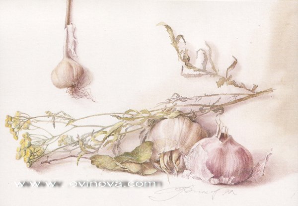 Художник Светлана Овинова натюрморты