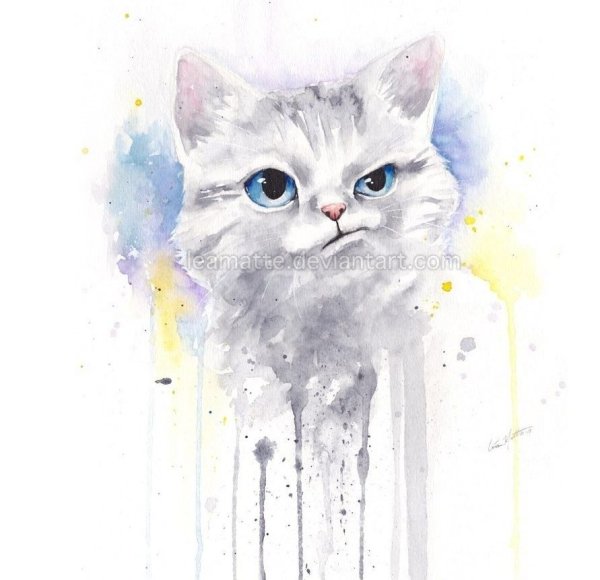 Кошечка акварель