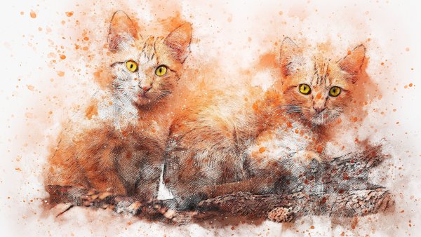 Котенок акварель