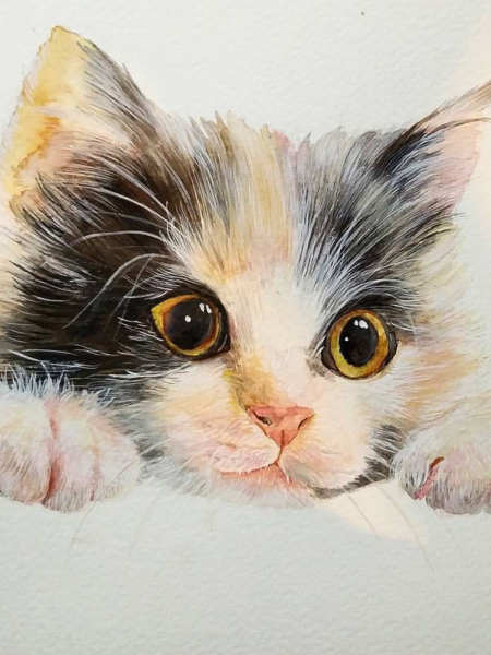 Акварельные кошки
