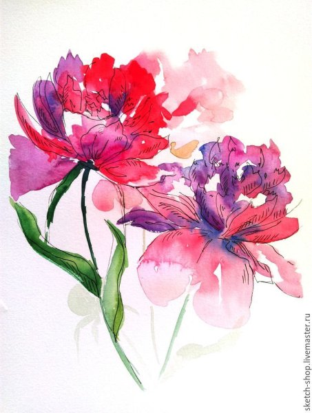 Пионы акварель скетч