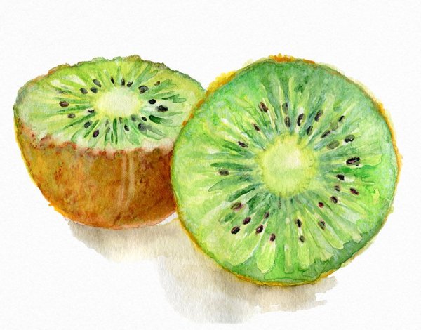 Разрез фруктов акварель