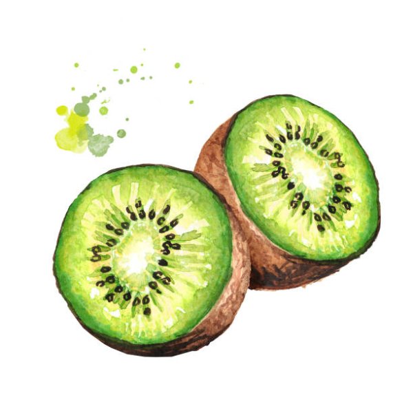 Фрукты акварелью киви