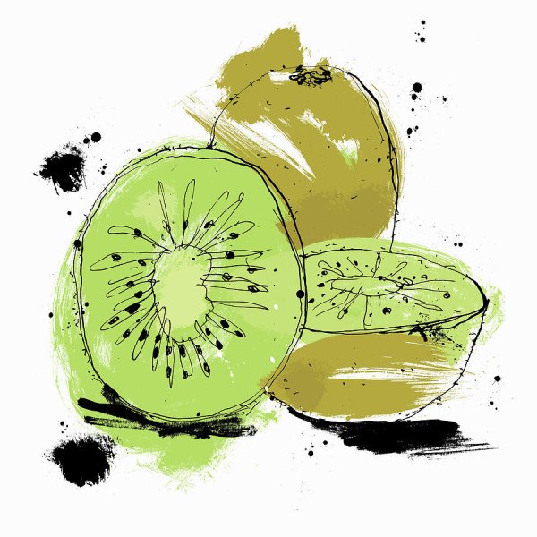 Скетч акварель киви