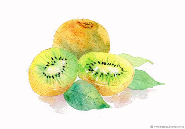 Киви карандашом