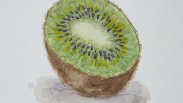 Киви в разрезе акварелью