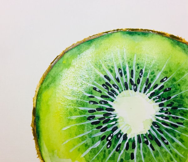 Скетч акварель киви