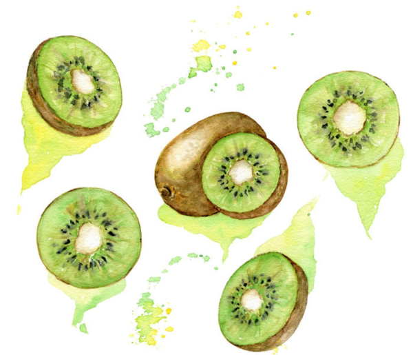 Киви рисунок акварелью