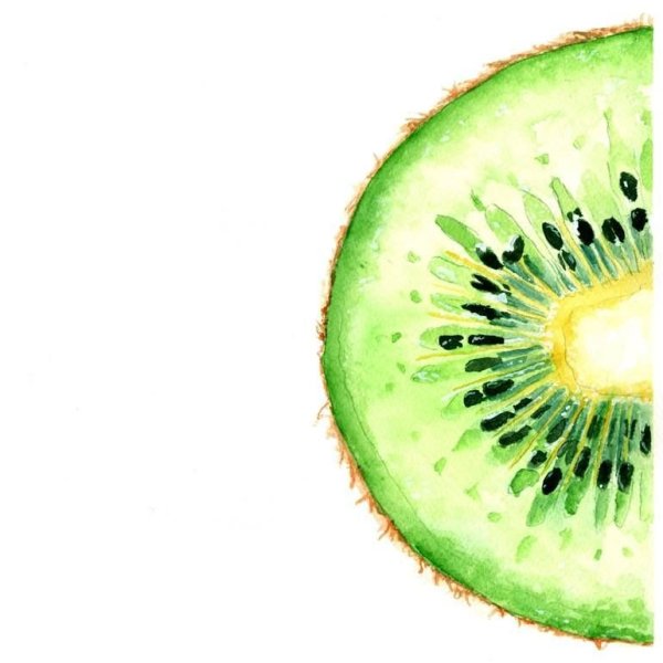Акварельная живопись фрукты киви